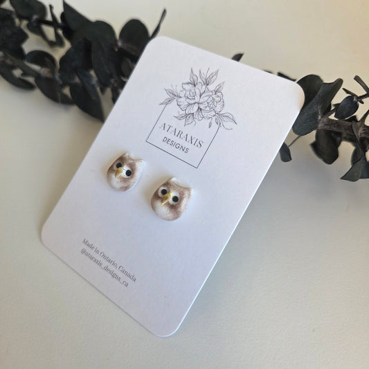 Owl Stud Earrings